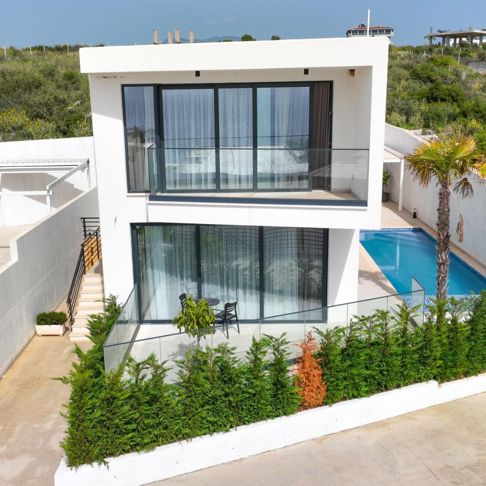 Palmera Prive *